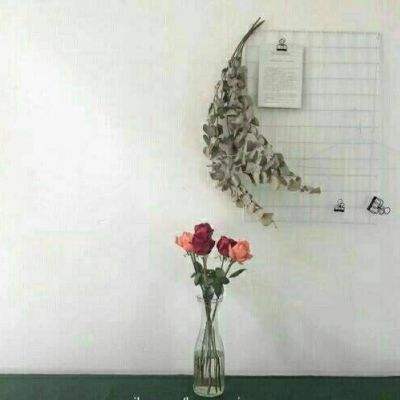 百人牛牛游戏软件下载手机版